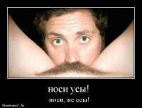 Борода на все времена года: «Бородатый» календарь на 2015 год