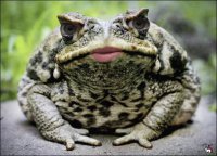 13 самых ярких ролей Елизаветы Боярской