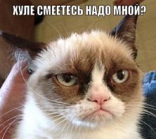 Подборка видео от 16.06.2014