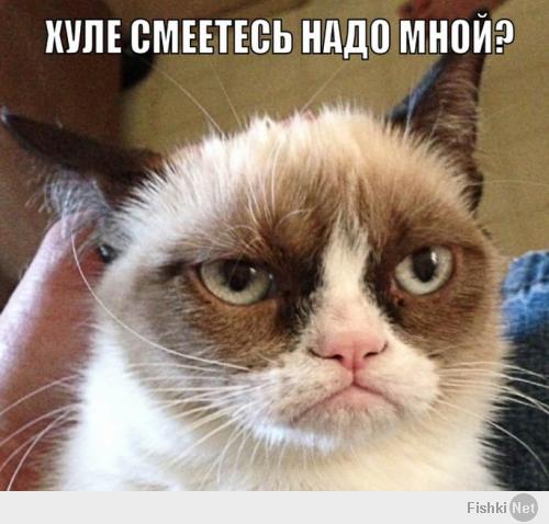 Подборка видео от 16.06.2014