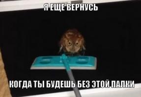 Подборка видео от 23.06.2014