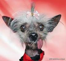 Везде есть уроды...