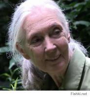 Сразу видно, что в ее сердце любовь и доброта. Дай Бог ей здоровья!