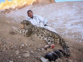 Совладелец российской компании «Капитал Груп» Павел Тё. Вот какие люди убивают ИЛБИРСОВ