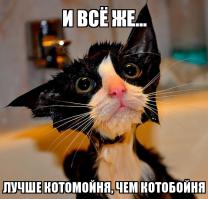 Влажные киски)