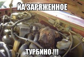 Подборка автоприколов. Часть 132