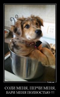 Фотоподборка за 30.06.2014