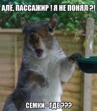 Фотоподборка за 07.07.2014