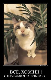 Косоглазые животные