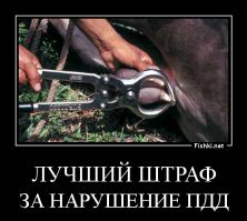 Молодежь развлекается