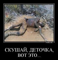 Таксидермистка ест мясо погибших животных