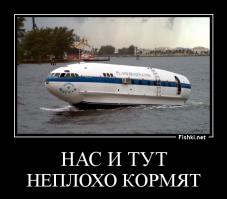 Дома, в которых хочется жить 