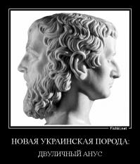 Яценюк без прикрас