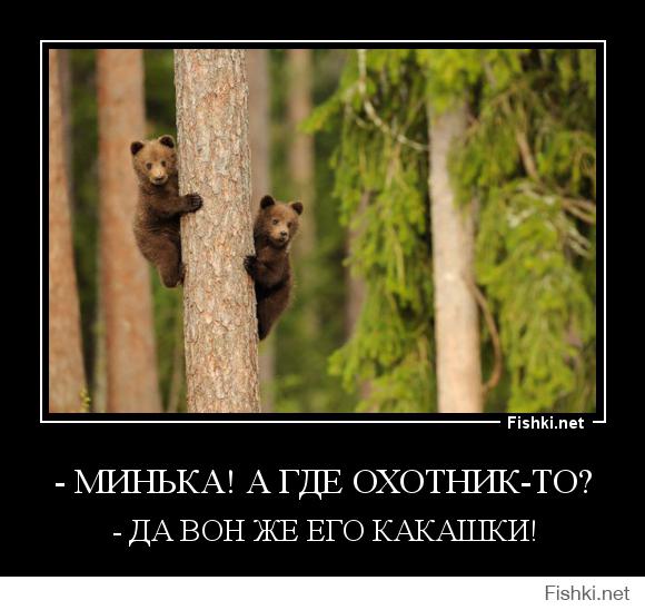 Медведи учат медвежат быть медведями