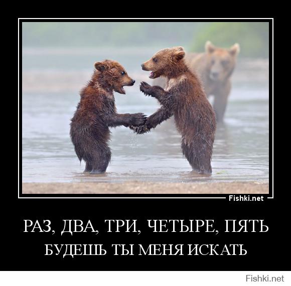 Медведи учат медвежат быть медведями