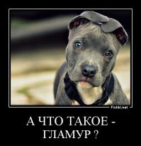 Гламурные снимки с животными