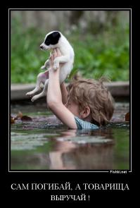 Больше, чем фото