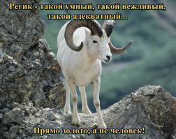 Принципиальный автор