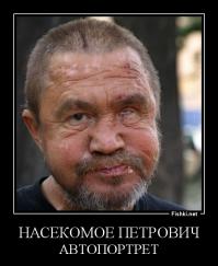 Фотопортреты насекомых, снятые крупным планом