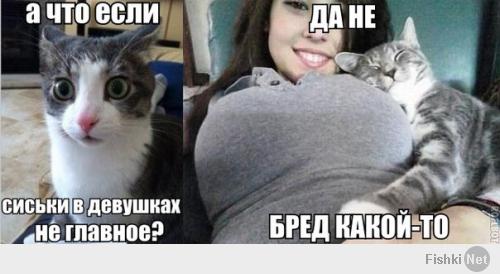 Школьная форма