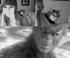 Забавные фотобомбы