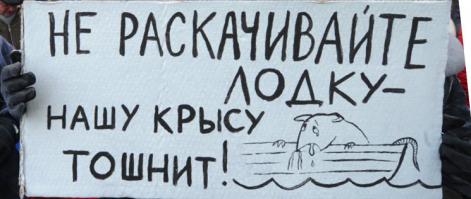 10 причин  полюбить крыс