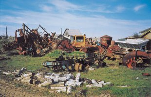 Подборка фото "Деревня"