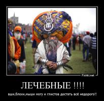 Вечная армия Ниханг Сикхов 