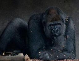 ОЧЕНЬ ПОНДРАВИЛАСЬ СПАСИБА.ДОЛГО СМЕЯЛСЯ НАД КАТЮШОЙ