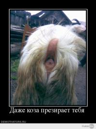 СРАЗУ ПОСЛЕ ТОГО КАК ТЫ ЗАВАРИШЬ СЕБЕ РОТ И ПОВЕСИШЬСЯ - ЗНАЧИТ СКОРО.P.S.ПЕРЕД СМЕРТЬЮ МОЖЕШЬ НЕ БРИТЬСЯ И НЕ СТРИРАТЬ ОБОСРАННЫХ ТРУСОФФФФ