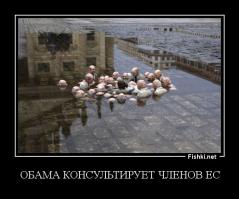 ГЛАВЫ ЕС ЭТО ШАЙКА СКОТОВ И УПЫРЕЙ А ПРОСТОЙ НАРОД СТРАДАЕТ