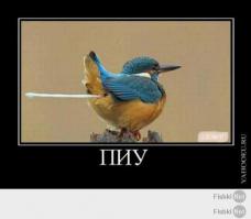 Подборка видео от 07.07.2014