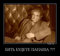 Котэ спалился