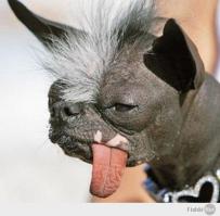 ОДНИ ПИНДОСОВСКИЕ ЕБАЛЬНИКИ ФУУУУУУУУУУУУУУУУУУУУУУ  ГАДОСТЬ