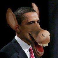 ОСЛИК НАШ СЕГОДНЯ ЗОЛ ОН УЗНАЛ ЧТО ОН ОСЕЛ