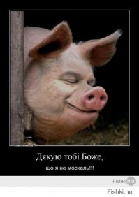 ТЫ ТО БЫДЛО СВИНОРЫЛО ХАЙЛО ЗАТКНИ ТЕБЕ СЛОВА НЕ ДАВАЛИ ЧИТАЙ МАНТРУ И ДРОЧИ НА <span style='color:gray'>[мат]</span> БАНДЕРУ -- Моя комната — это моё королевство.
Моё королевство Свинарния.