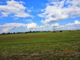 Мой родной край летом. Чудское озеро, поля с васильками и маками, прелесть одним словом.

"Таити - таити, нас и здесь неплохо кормят" (с)