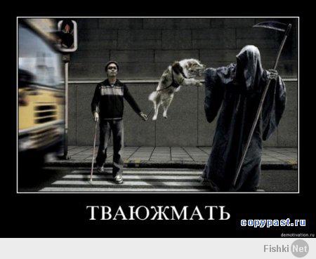 Фишкина солянка за 19.05.2014