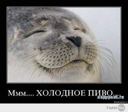 В Москве + 29