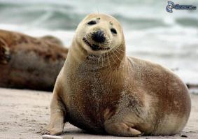 Всем доброго утра и хорошего начала недели