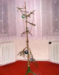 Эконом класс...