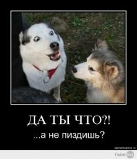 Вежливая армия России 