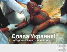 Западные СМИ о крушении "Боинга" на Донбассе