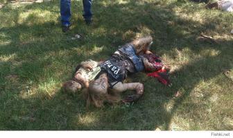 Но чтобы убивать женщин и детей количества укронацистов пока хватает. 27.07.14.