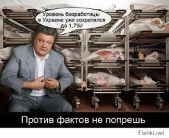 Почему «ополченцы-иностранцы» не боятся фотовспышек