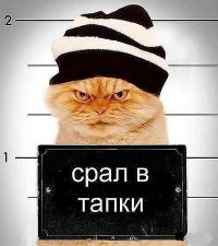 Кот объел харьковский мясокомбинат на 26 тысяч рублей