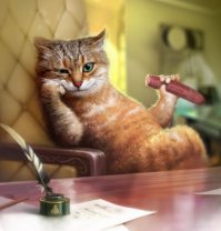 50 поразительных фактов о котиках