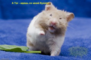 Водочку наливай