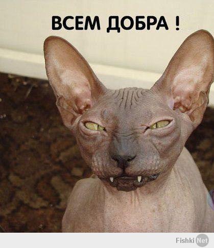точно очень весело