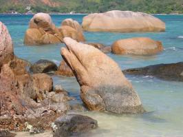 Блин, это же доказательство того, что действительно укры произошли от юпитерианских дельфинов! Это окаменелость первых из них, который не сумел по каким-либо причинам вылезти на сушу!